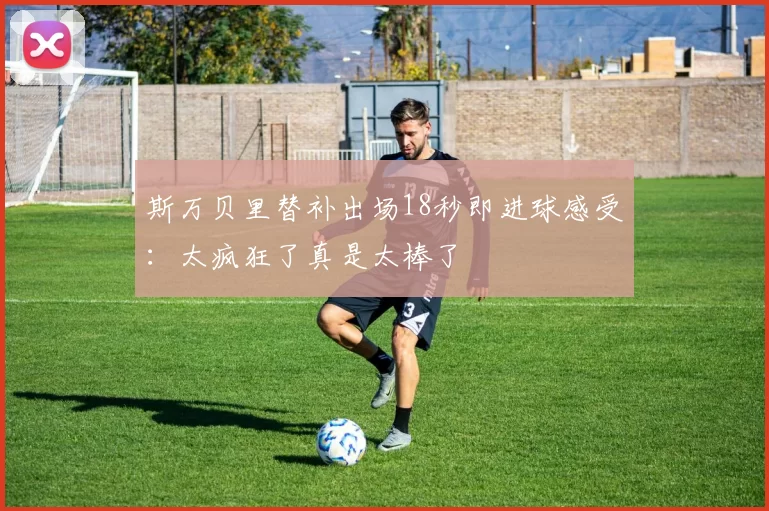 斯万贝里替补出场18秒即进球感受：太疯狂了真是太棒了